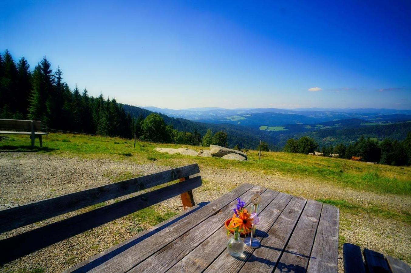Glatzl Trahuetten Alm Sankt Lorenzen am Wechsel Esterno foto